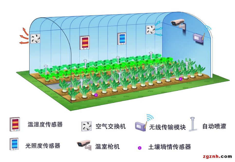 科技让农业绽放“智慧”之花